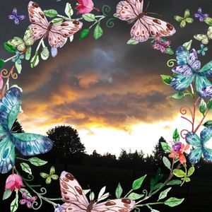 Meet your Posher, Ellen